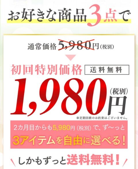 サブスクB初回1980円